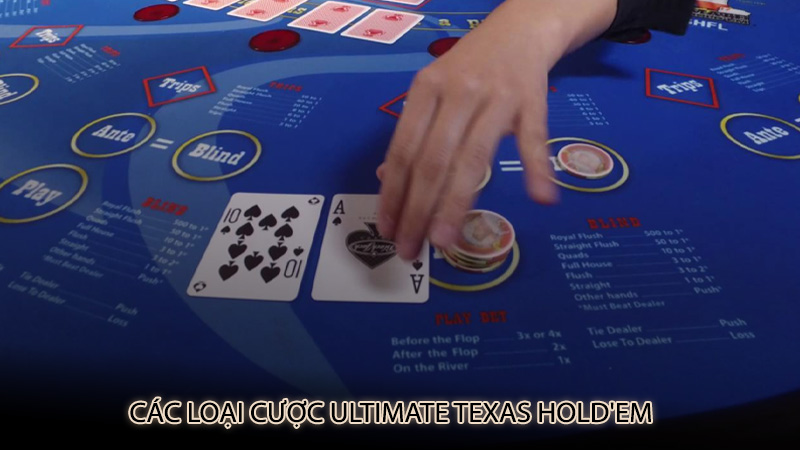 Các Loại Cược Ultimate Texas Hold'em